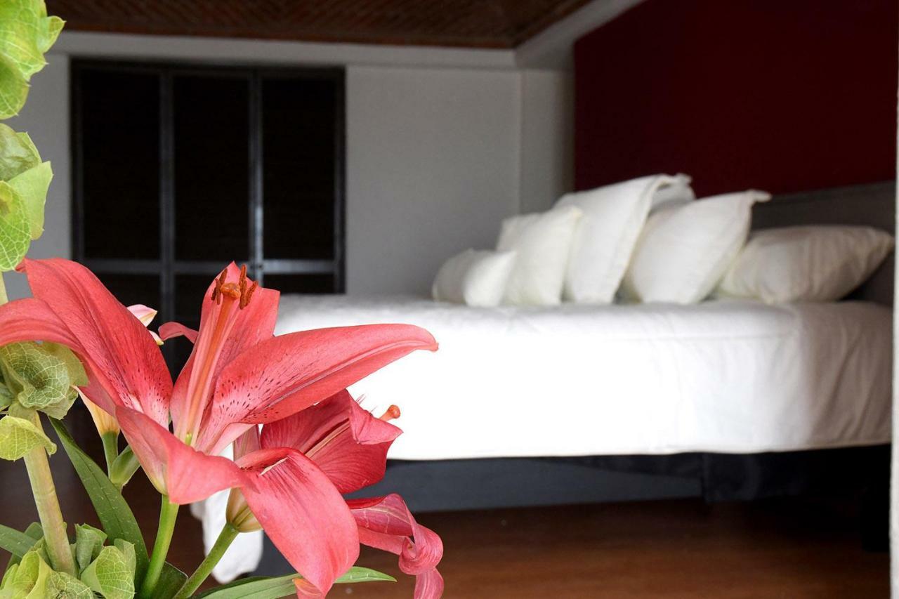 The House Of Cinema Apartment Guanajuato Exterior photo
